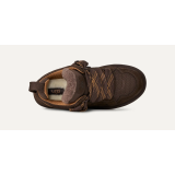 Купить UGG Lowmel Dusted Cocoa