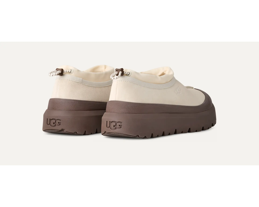 Купить UGG Tasman Hybrid Jasmine / Molasses