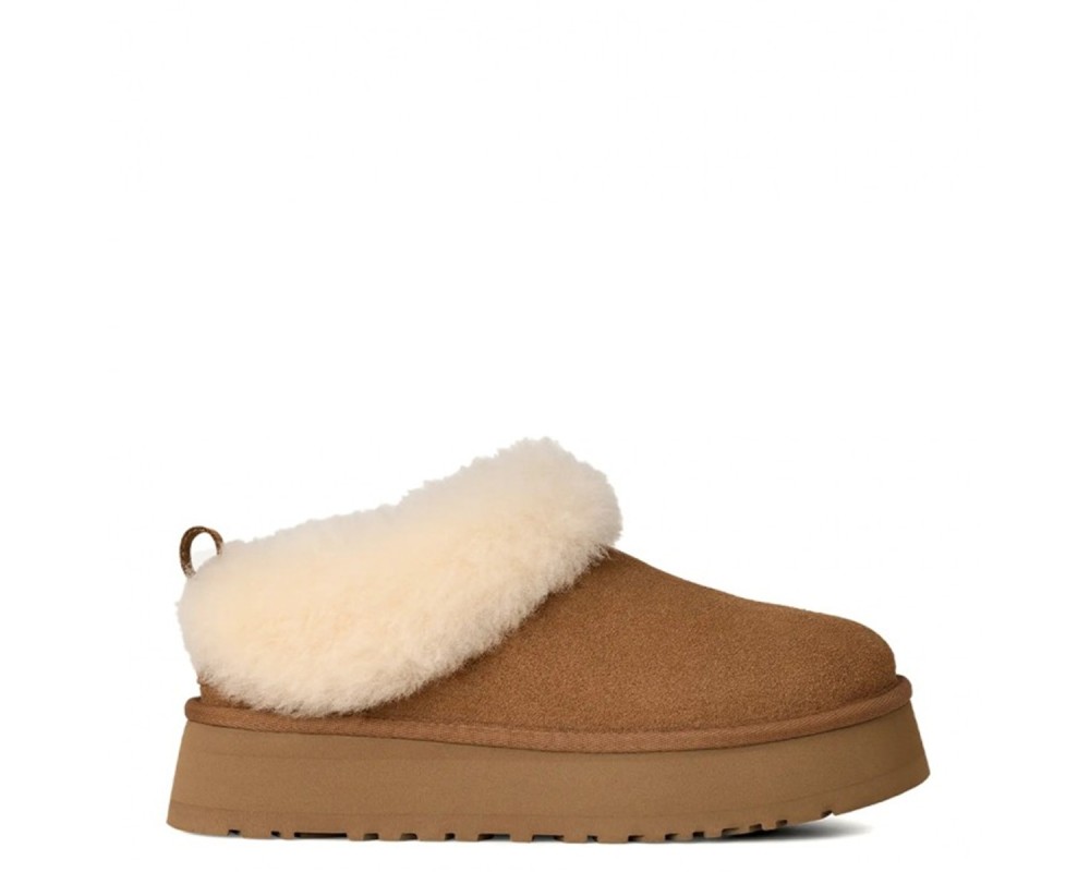 Купить UGG Tazzelle Chestnut