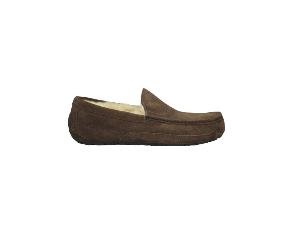 Купить UGG Mens Ascot Chocolate