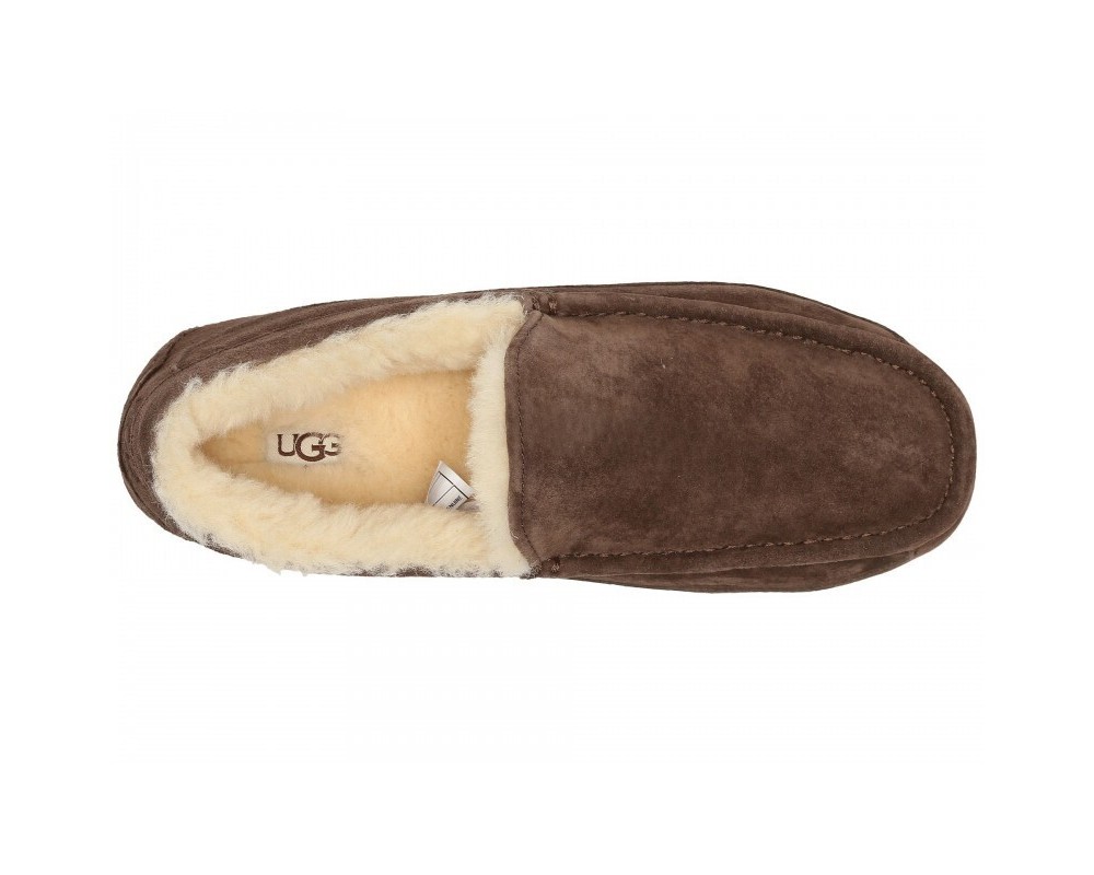 Купить UGG Mens Ascot Chocolate