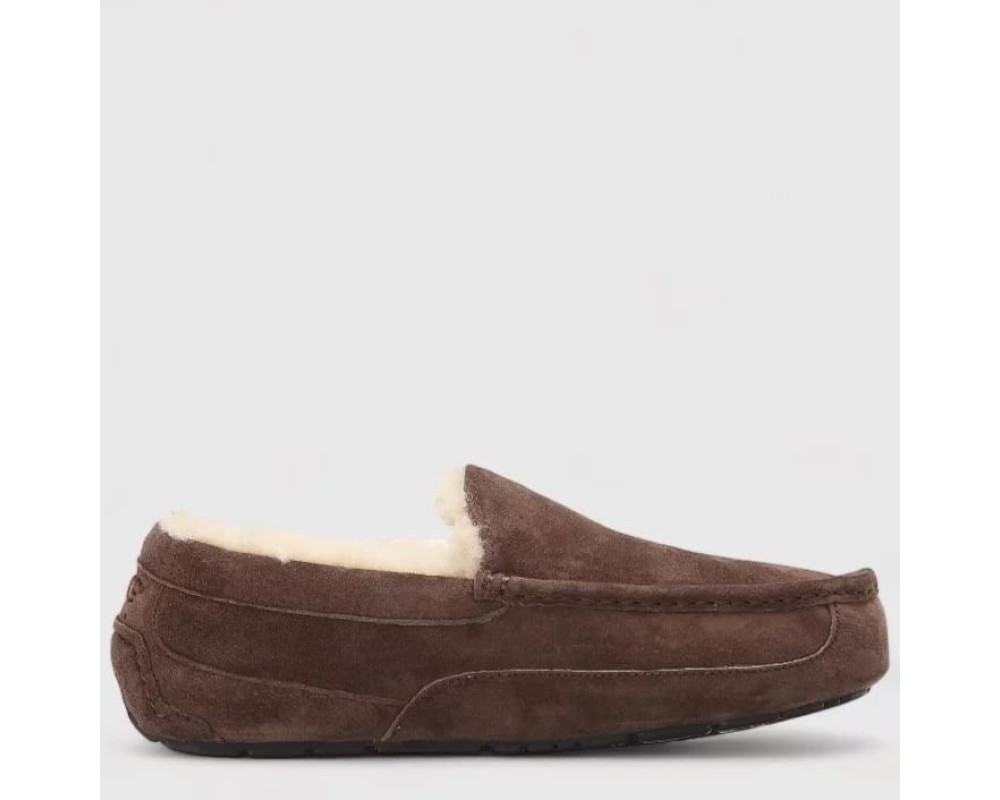 Купить UGG Mens Ascot Chocolate