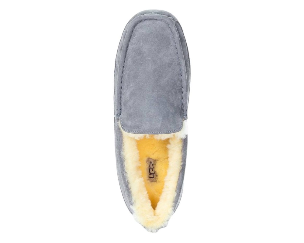 Купить UGG Mens Ascot Grey