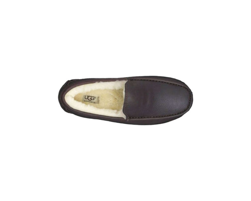 Купить UGG Mens Ascot Metallic Chocolate