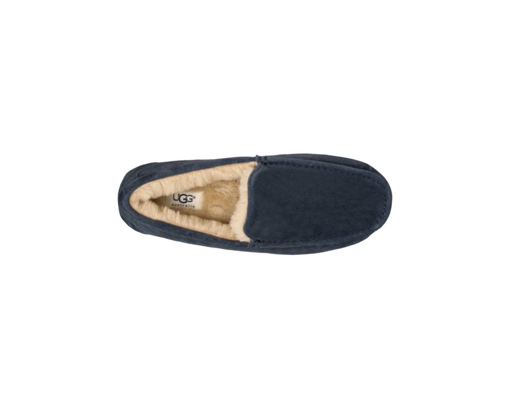 Купить UGG Mens Ascot Navy