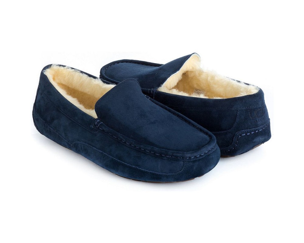 Купить UGG Mens Ascot Navy