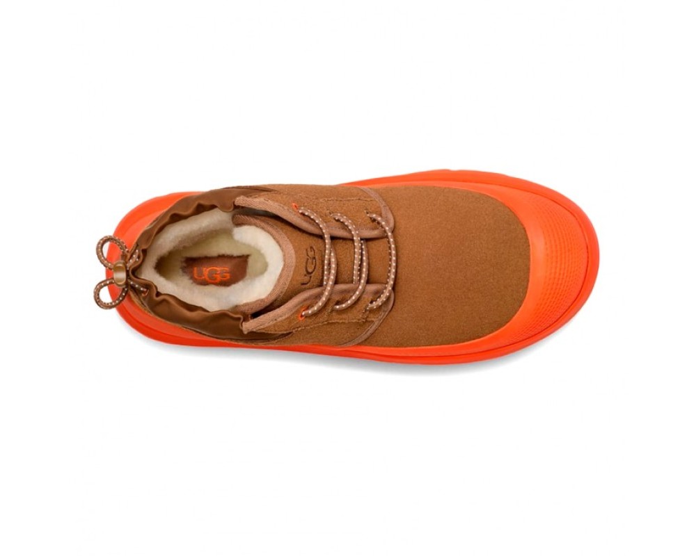 Купить UGG Neumel Hybrid - Chestnut / Orange