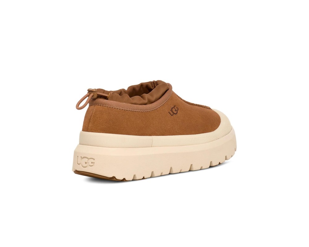 Купить UGG Tasman Hybrid Chestnut Whitecap