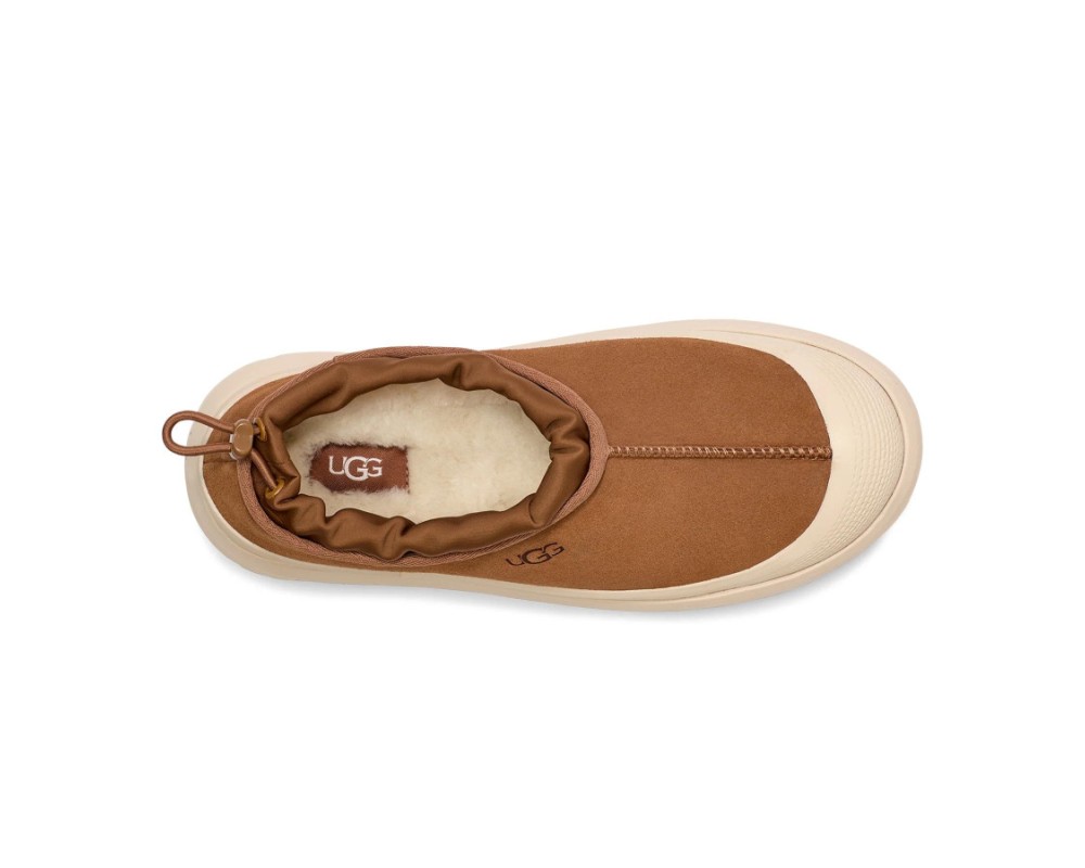 Купить UGG Tasman Hybrid Chestnut Whitecap