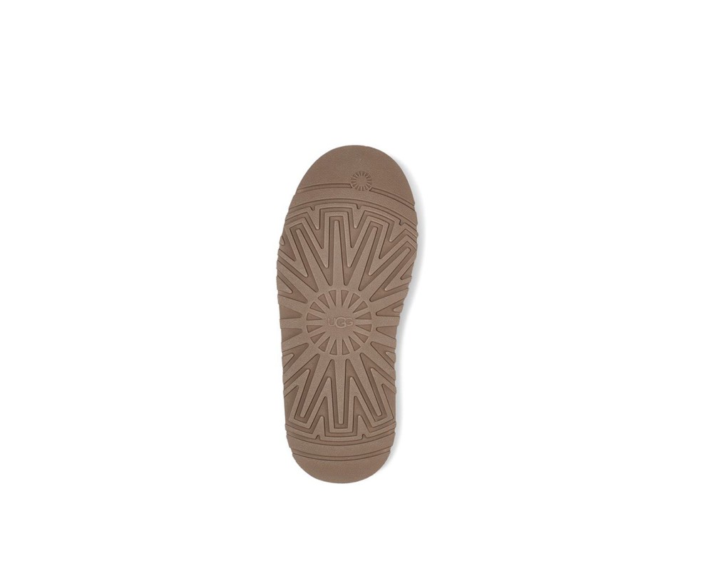 Купить UGG Tazz Platform Chestnut