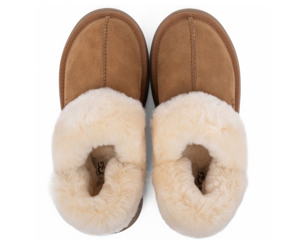 Купить Ugg Slippers Disquette Chestnut