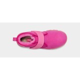 Купить UGG Neumel Clear Chukka Carnation