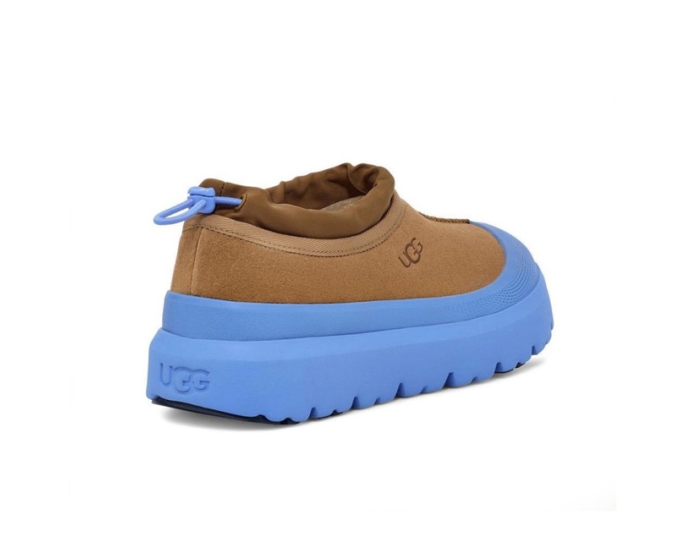 Купить UGG Tasman Hybrid Chestnut - Big Sky