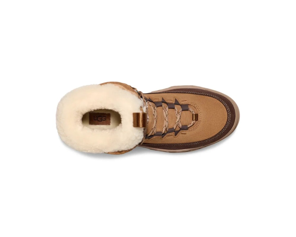 Купить UGG TerreTrail Cozy Lace Boot Chestnut