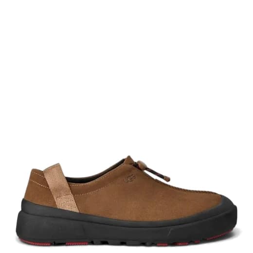 Chestnut