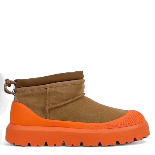 Chestnut / Orange