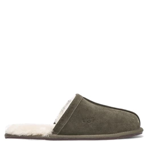 Brunt olive