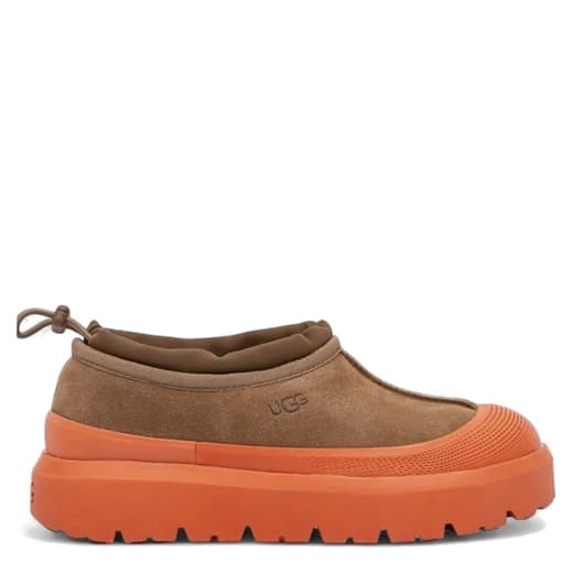 Chestnut / Orange