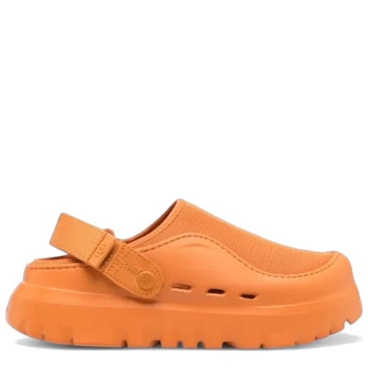 Apricot