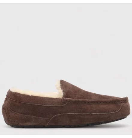 UGG Mens Ascot Chocolate