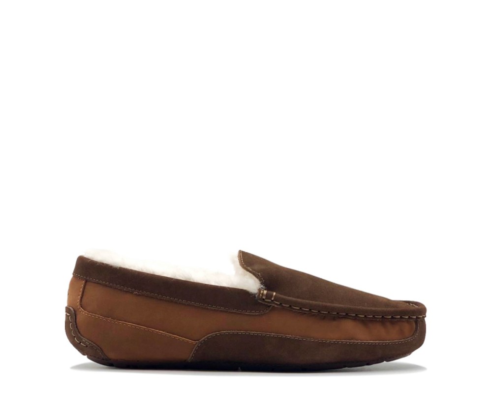 Купить UGG Mens Ascot Gognac