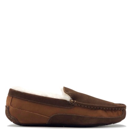 UGG Mens Ascot Gognac