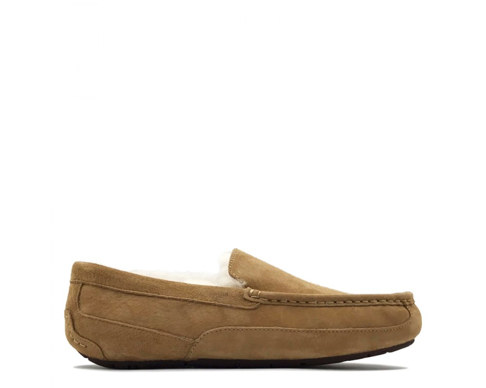 Купить UGG Mens Ascot Chestnut