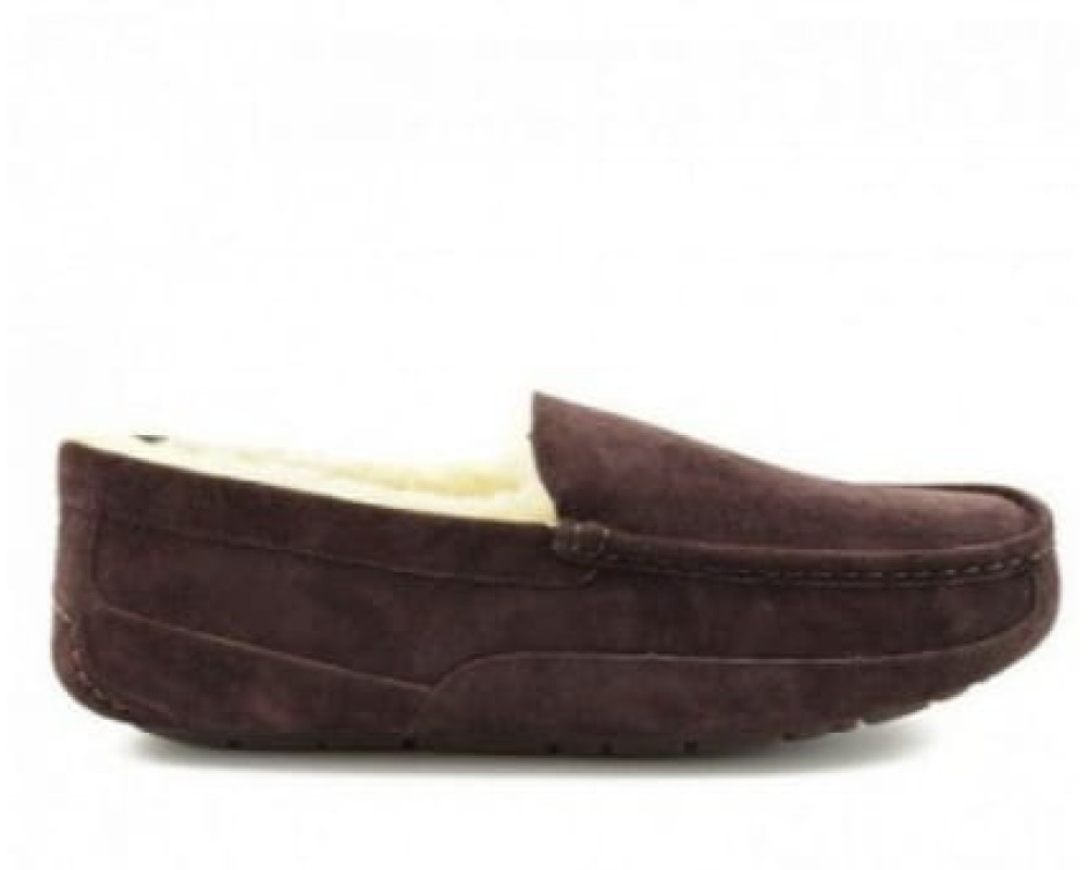 UGG Mens Ascot Chocolate