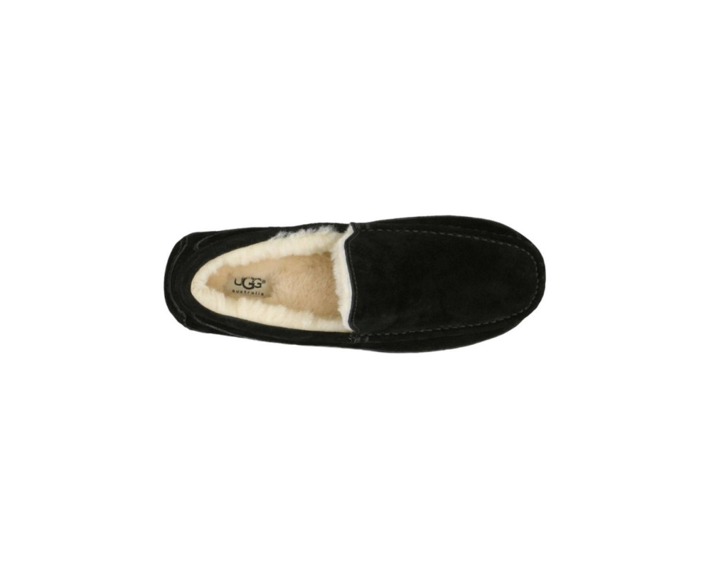 UGG Mens Ascot Black
