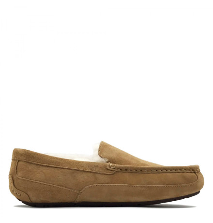 UGG Mens Ascot Chestnut